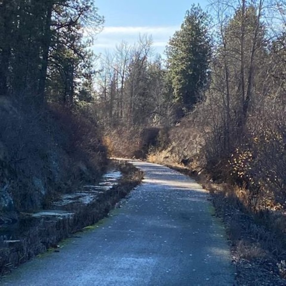 Meet your Posher, Shelly - Picture 1 of 1